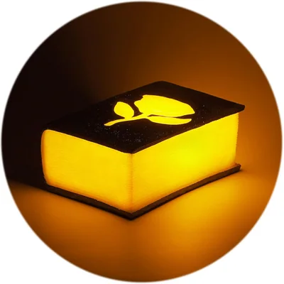 GREENIC Battery Book Night Light with 6-Hour Timer, picture 1